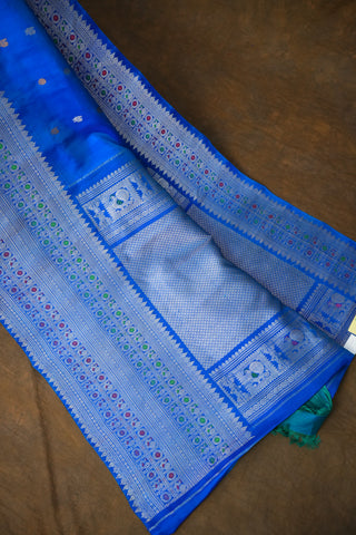 GADWAL PURE SILK MEENAKARI TURNING BORDER SAREE