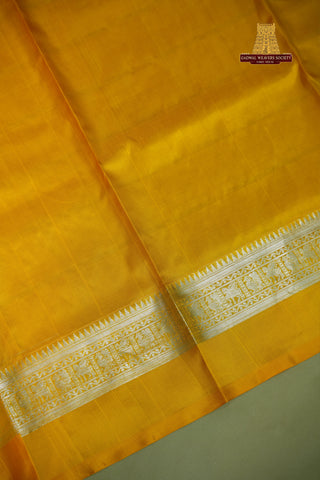 VENKATAGIRI PURE SILK CHECKS HANDLOOM SAREE