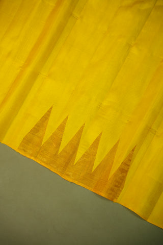 GADWAL PURE SILK TISSUE BORDER HANDLOOM SAREE