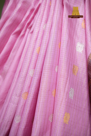 GADWAL PURE SILK CHECKS GAP BORDER HANDLOOM SAREE