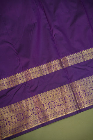 SEMI KANCHI SAREE