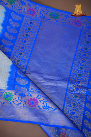 GADWAL PURE SILK MEENAKARI TURNING BORDER SAREE