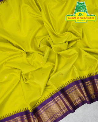 GADWAL PURE SILK HANDLOOM SAREE