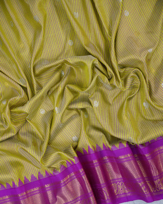 GADWAL PURE SILK HANDLOOM SAREE WITH KUTTU BORDER