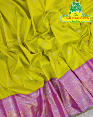 GADWAL PURE SILK HANDLOOM SAREE WITH BORDER