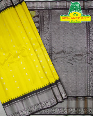 GADWAL PURE SILK HANDLOOM SAREE WITH BORDER