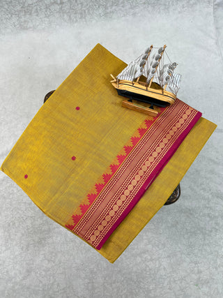 VENKATAGIRI COTTON HANDLOOM SAREE