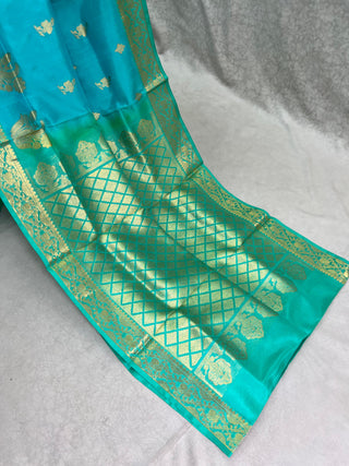 VEKATGIRI PURE SILK HANDLOOM SAREE