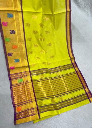 VENKATAGIRI COTTON HANDLOOM SAREE