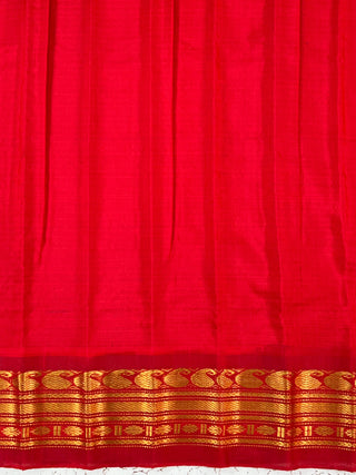 GADWAL PURE COTTON SILK (SICO) SAREE