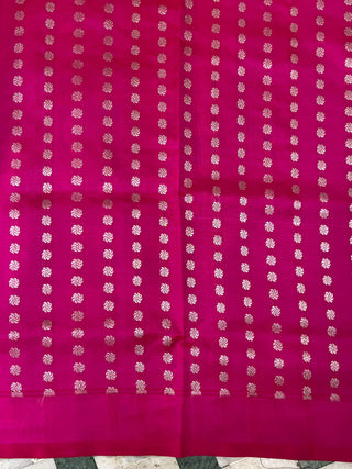 VEKATGIRI PURE SILK WITH BORDERLESS SAREE