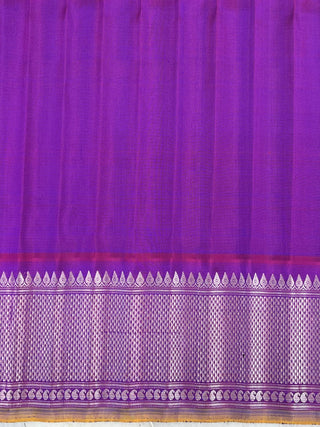 GADWAL PASTEL PURE SILK HANDLOOM SAREE