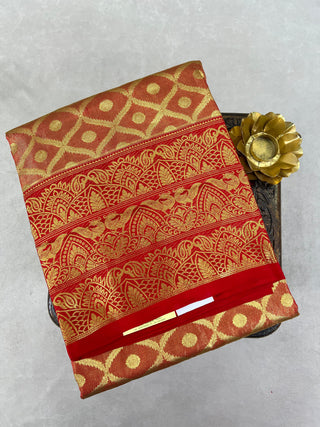 VEKATGIRI PURE SILK HANDLOOM TISSUE SAREE