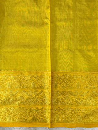 VEKATGIRI PURE SILK TISSUE HANDLOOM SAREE