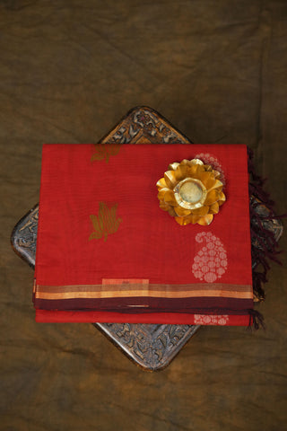 KANCHI COTTON SAREES