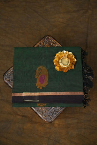 KANCHI COTTON SAREES