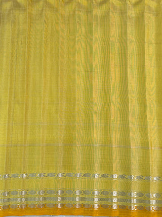 GADWAL PURE SILK GAP BORDER HANDLOOM SAREE