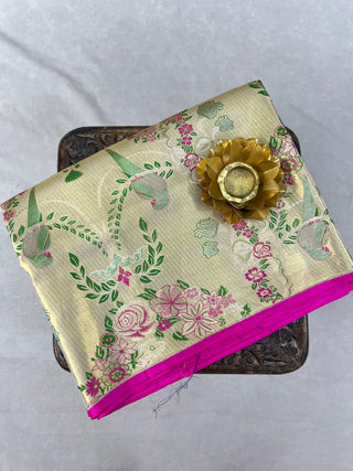 KANCHIPURAM PURE SILK TISSUE BORDERLESS SAREE