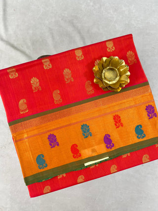 VENKATAGIRI SICO HANDLOOM SAREE