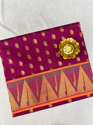 VENKATAGIRI SICO HANDLOOM SAREE