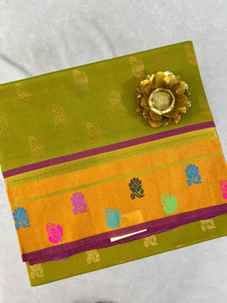 VENKATAGIRI SICO HANDLOOM SAREE