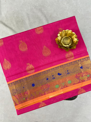 VENKATAGIRI SICO HANDLOOM SAREE