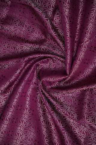 VEKATGIRI PURE SILK HANDLOOM SAREE
