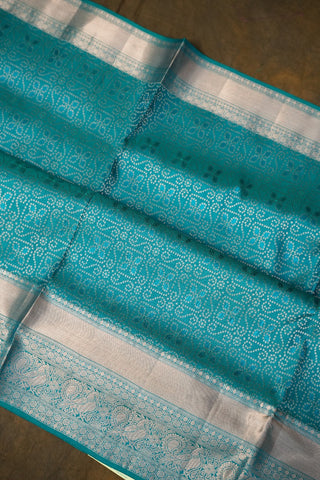 VEKATGIRI PURE SILK HANDLOOM SAREE