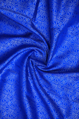 VEKATGIRI PURE SILK HANDLOOM SAREE