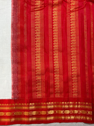 GADWAL COTTON KUTTU HANDLOOM SAREE