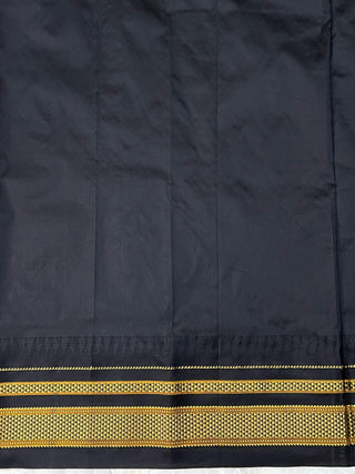 NARAYANPET PURE SILK SAREE