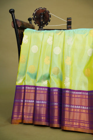 GADWAL SILKS IN EQUAL BORDER STYLE